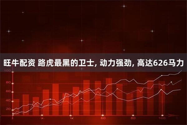 旺牛配资 路虎最黑的卫士, 动力强劲, 高达626马力