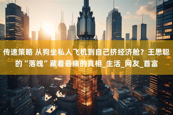 传速策略 从狗坐私人飞机到自己挤经济舱？王思聪的“落魄”藏着最痛的真相_生活_网友_首富
