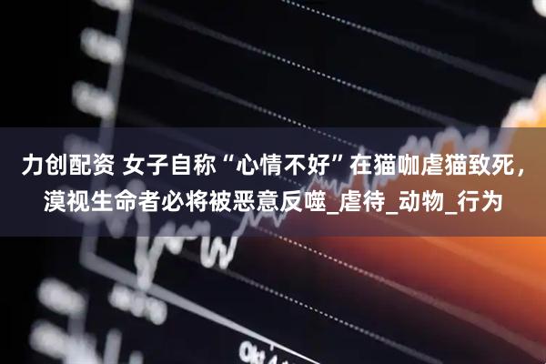 力创配资 女子自称“心情不好”在猫咖虐猫致死，漠视生命者必将被恶意反噬_虐待_动物_行为